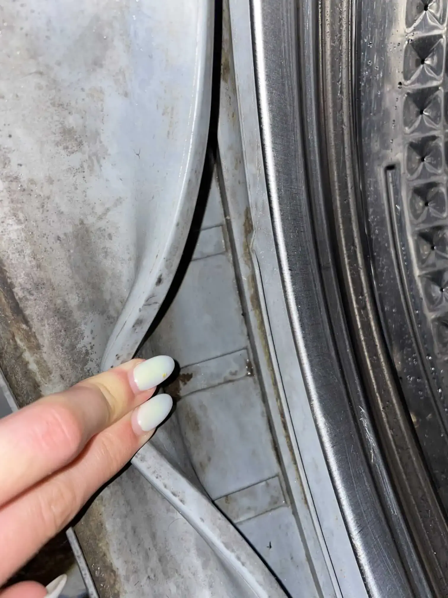 mold in a washer gasket