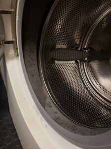 mold in the washer